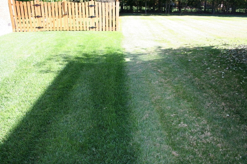 advanced lawn comparison