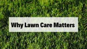 lawn care company