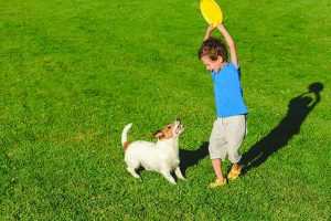 A boy and his dog playing in the grass