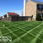 seeding image - Advanced Lawn green lawn photo- striped lawn - seeding