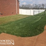 seeding image - Advanced Lawn Comparison Photo - seeding