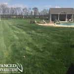 seeding image - lush green lawn backyard and pool - seeding