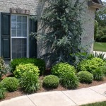 Advanced Lawn groomed landscape bushes and trees