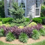 Advanced Lawn groomed landscape bushes and trees