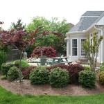 Advanced Lawn groomed landscape bushes