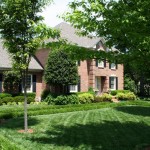 advanced lawn maintained lawn, shrub, bush, and trees