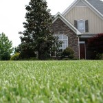 advanced lawn lush green lawn