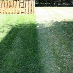 advanced lawn comparison
