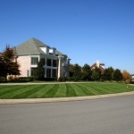 estate lawn care
