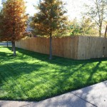 advanced lawn lush green lawn