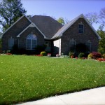 advanced lawn lush green lawn