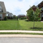 advanced lawn comparison